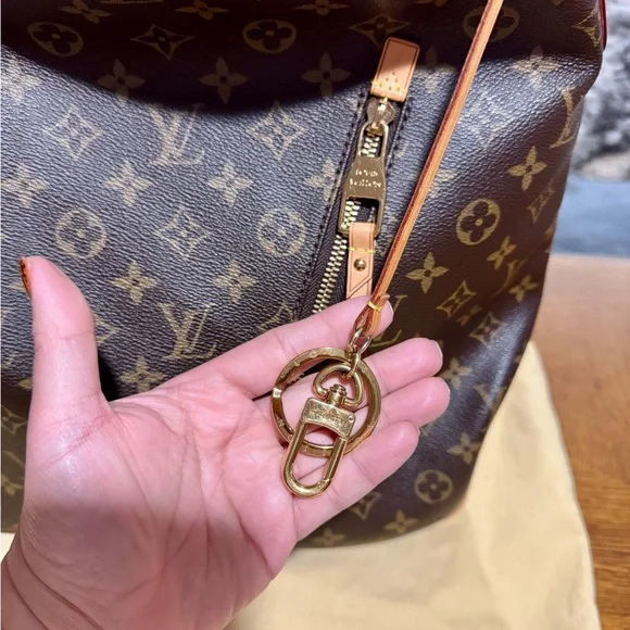 Louis Vuitton Delightful GM - Picture 5 of 16